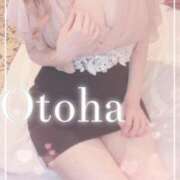 ヒメ日記 2025/05/14 13:15 投稿 おとは SUZUME