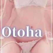 ヒメ日記 2025/05/15 13:15 投稿 おとは SUZUME