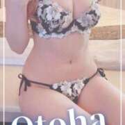 ヒメ日記 2025/05/25 13:15 投稿 おとは SUZUME