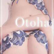 ヒメ日記 2025/06/03 13:15 投稿 おとは SUZUME