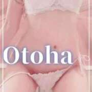 ヒメ日記 2025/06/04 13:15 投稿 おとは SUZUME