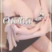 ヒメ日記 2025/06/08 13:15 投稿 おとは SUZUME