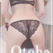 ヒメ日記 2025/07/01 13:15 投稿 おとは SUZUME