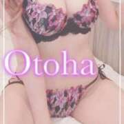 ヒメ日記 2025/07/13 13:15 投稿 おとは SUZUME