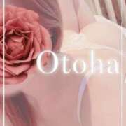 おとは 🤍出勤🤍 SUZUME