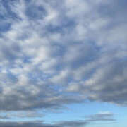 ヒメ日記 2025/10/18 07:00 投稿 まいこ 奥鉄オクテツ大阪