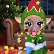 ヒメ日記 2024/12/19 14:41 投稿 みはる 即アポマダム～名古屋店～