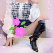 ヒメ日記 2025/02/19 10:51 投稿 みはる 即アポマダム～名古屋店～