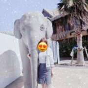 ヒメ日記 2025/03/01 14:21 投稿 みはる 即アポマダム～名古屋店～