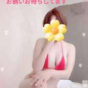 ヒメ日記 2025/04/10 18:51 投稿 みはる 即アポマダム～名古屋店～