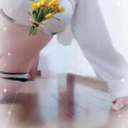 ヒメ日記 2025/04/17 09:10 投稿 みはる 即アポマダム～名古屋店～