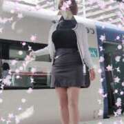 ヒメ日記 2025/04/28 09:41 投稿 みはる 即アポマダム～名古屋店～