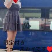 ヒメ日記 2025/05/19 09:47 投稿 みはる 即アポマダム～名古屋店～