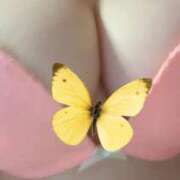 ヒメ日記 2025/09/07 19:51 投稿 みはる 即アポマダム～名古屋店～