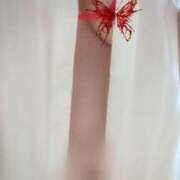 ヒメ日記 2025/09/20 15:42 投稿 みはる 即アポマダム～名古屋店～