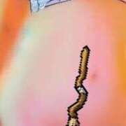 ヒメ日記 2025/11/03 08:26 投稿 みはる 即アポマダム～名古屋店～