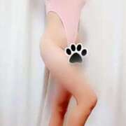 ヒメ日記 2025/11/05 06:31 投稿 みはる 即アポマダム～名古屋店～