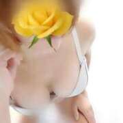 ヒメ日記 2025/11/05 10:51 投稿 みはる 即アポマダム～名古屋店～