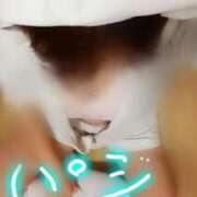 ヒメ日記 2025/11/05 21:51 投稿 みはる 即アポマダム～名古屋店～