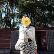 ヒメ日記 2025/11/22 11:26 投稿 みはる 即アポマダム～名古屋店～