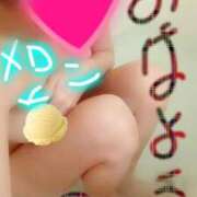 ヒメ日記 2026/01/31 07:51 投稿 みはる 即アポマダム～名古屋店～