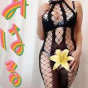 ヒメ日記 2026/02/03 11:41 投稿 みはる 即アポマダム～名古屋店～