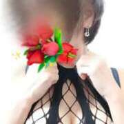 ヒメ日記 2026/02/03 13:04 投稿 みはる 即アポマダム～名古屋店～