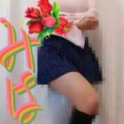 ヒメ日記 2026/03/04 09:44 投稿 みはる 即アポマダム～名古屋店～