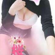 ヒメ日記 2026/03/15 00:21 投稿 みはる 即アポマダム～名古屋店～