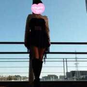 ヒメ日記 2026/03/16 17:41 投稿 みはる 即アポマダム～名古屋店～