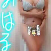 ヒメ日記 2026/03/24 08:41 投稿 みはる 即アポマダム～名古屋店～