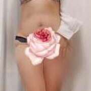 ヒメ日記 2026/03/31 09:06 投稿 みはる 即アポマダム～名古屋店～