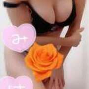 ヒメ日記 2026/04/03 09:06 投稿 みはる 即アポマダム～名古屋店～