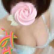 ヒメ日記 2026/04/06 11:11 投稿 みはる 即アポマダム～名古屋店～