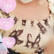 ヒメ日記 2026/04/21 12:31 投稿 みはる 即アポマダム～名古屋店～