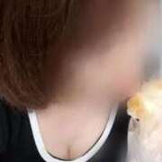 ヒメ日記 2026/05/14 11:21 投稿 みはる 即アポマダム～名古屋店～