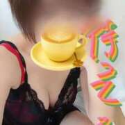 ヒメ日記 2026/06/15 09:21 投稿 みはる 即アポマダム～名古屋店～