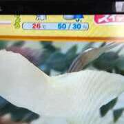 ヒメ日記 2026/09/23 11:02 投稿 みはる 即アポマダム～名古屋店～