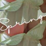 ヒメ日記 2025/03/07 14:02 投稿 みはる 即アポ奥さん〜名古屋店〜