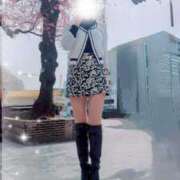 ヒメ日記 2025/03/25 12:03 投稿 みはる 即アポ奥さん〜名古屋店〜