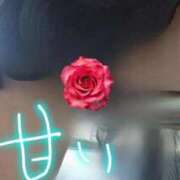 ヒメ日記 2025/09/16 13:21 投稿 みはる 即アポ奥さん〜名古屋店〜