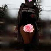 ヒメ日記 2025/12/16 16:32 投稿 みはる 即アポ奥さん〜名古屋店〜