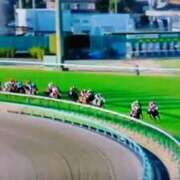 ヒメ日記 2025/12/28 16:01 投稿 みはる 即アポ奥さん〜名古屋店〜