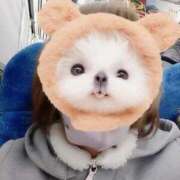 ヒメ日記 2026/01/23 17:41 投稿 みはる 即アポ奥さん〜名古屋店〜