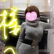 ヒメ日記 2026/01/30 23:31 投稿 みはる 即アポ奥さん〜名古屋店〜