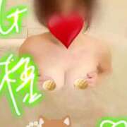 ヒメ日記 2026/02/04 21:31 投稿 みはる 即アポ奥さん〜名古屋店〜