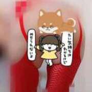 ヒメ日記 2026/02/20 10:25 投稿 みはる 即アポ奥さん〜名古屋店〜