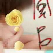 ヒメ日記 2026/03/16 06:58 投稿 みはる 即アポ奥さん〜名古屋店〜