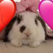 ヒメ日記 2025/11/19 08:57 投稿 なな No.1～ナンバーワン～