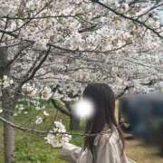 ヒメ日記 2026/04/01 19:42 投稿 もな Hip's-group越谷本店